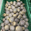 Bio Bieten rood per kilo - Afbeelding 2