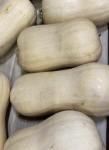 Bio Flespompoen per stuk