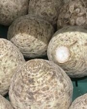 Knolselderij per stuk