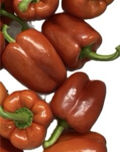 Paprika rood per stuk