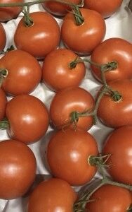 Trostomaten per kilo