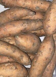 Zoete aardappel per kilo