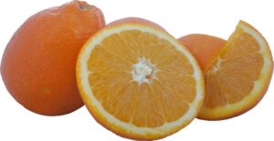 Bio sinaasappels per kilo