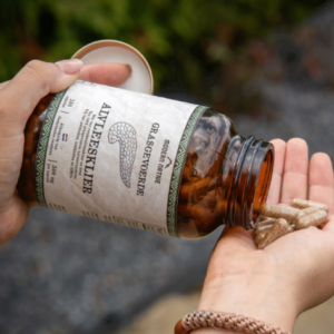 Alvleesklier supplement