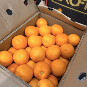 Pers sinaasappels salustiana per kilo