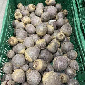 Bio rode biet per kilo