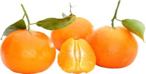 Bio mandarijnen per kilo