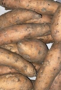 Bio zoete aardappel per kilo