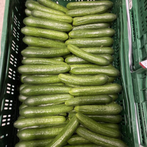 Snack komkommers per kilo