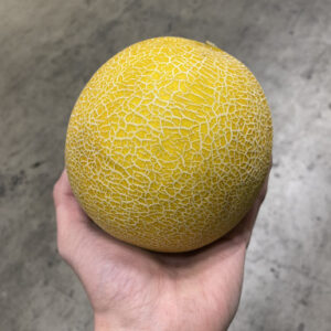 Galia meloen per stuk