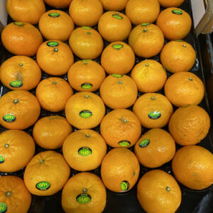 Vol Smaak- Orri mandarijnen per kilo