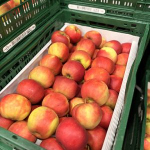 Elstar nieuwe oogst per kilo